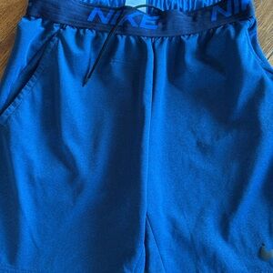 Nike Dri-FIT Blue Shorts